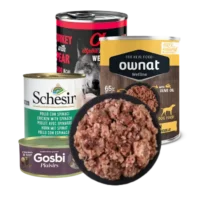 Alimentación húmeda perro Bóxer disfrutando de una lata de comida húmeda natural