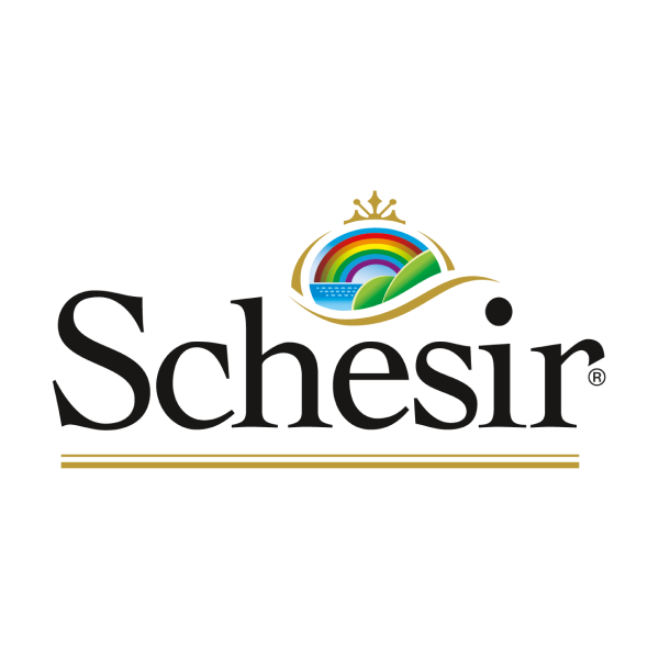 Schesir