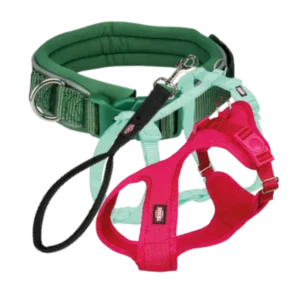 Arneses, collares y correas para perro, accesorios de paseo seguros y cómodos para perros de todos los tamaños.