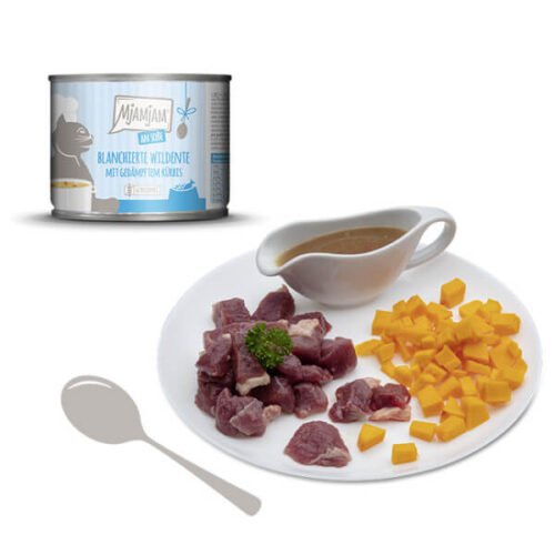 20.72file.jpeg MjAMjAM Pato Salvaje Con Calabaza