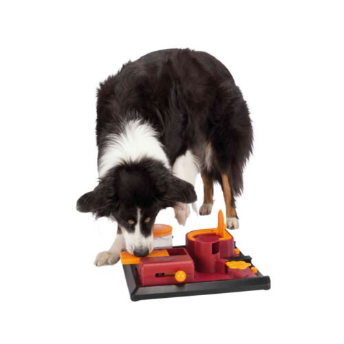 Trixie Juego Interactivo Poker Box 2