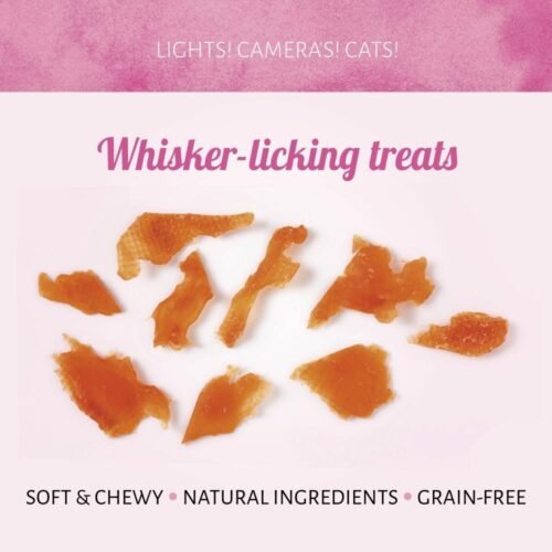 antos-antos-shredded-chicken-gato-senior-snacks-naturales-para-gatos722570file.jpeg Cat Treats Trocitos de Pollo