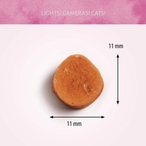 Cat Treats Camarones al Vapor