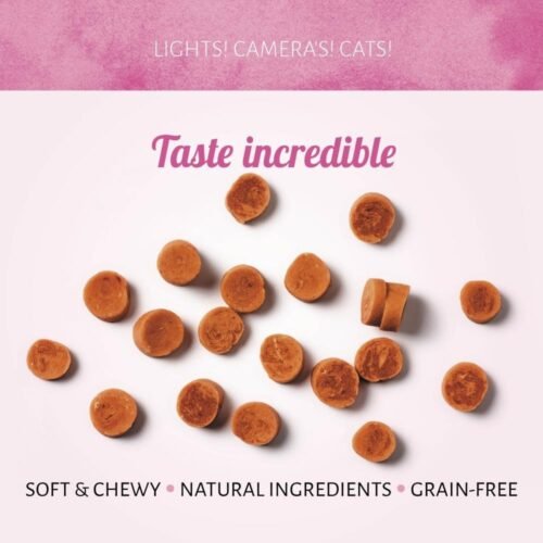 Cat Treats Camarones al Vapor