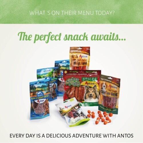 Anillas de Pollo Tierno