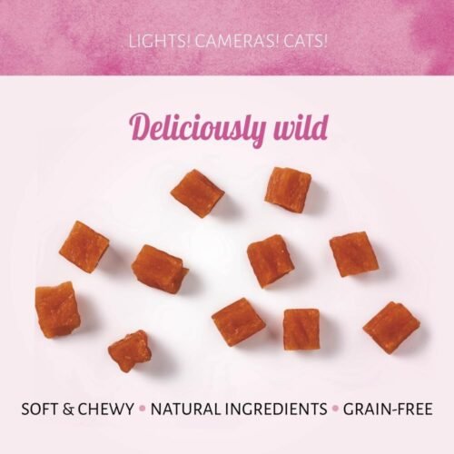Cat Treats Cubos de Salmón