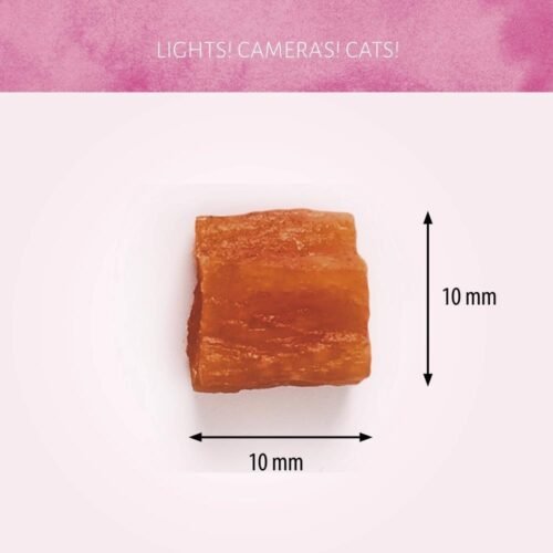 Cat Treats Cubos de Salmón