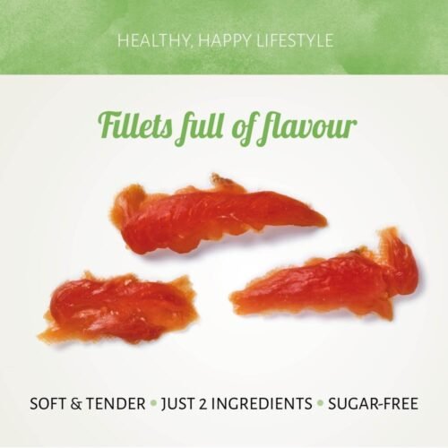 Filete Tierno de Pollo