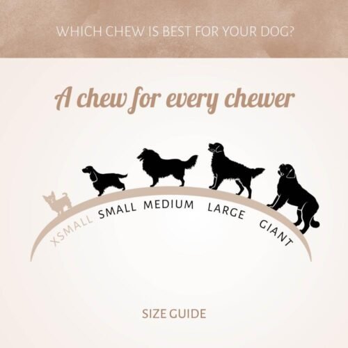 Patas de Pollo Deshidratadas