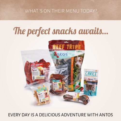 Patas de Pollo Deshidratadas