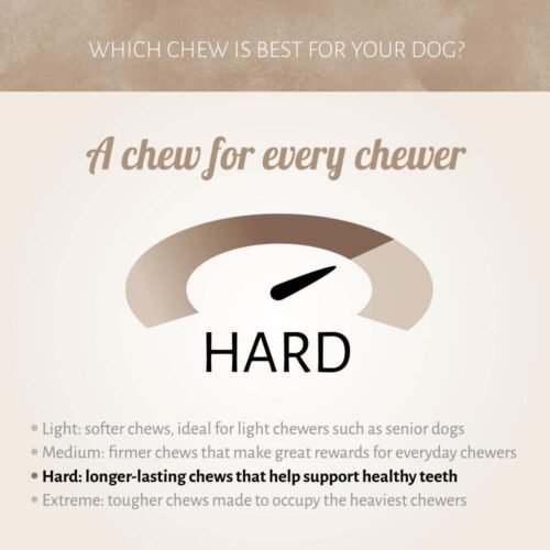 Patas de Pollo Deshidratadas