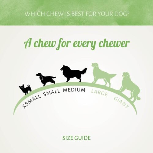 Brocheta de Pollo, Buey y Pato