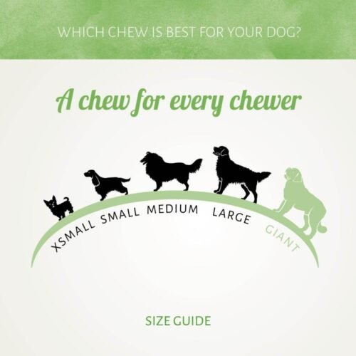 antos-snacks-perro-senior-snacks-para-perros38729file.jpeg Nudo de Pato