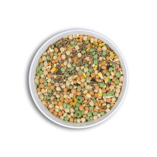 Pienso Premium Cobaya