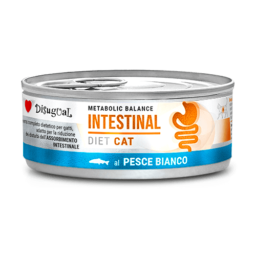 Disugual Metabolic Balance Cat Intestinal Pesce