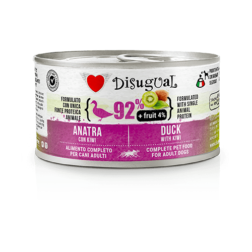 Disugual Pato con Kiwi