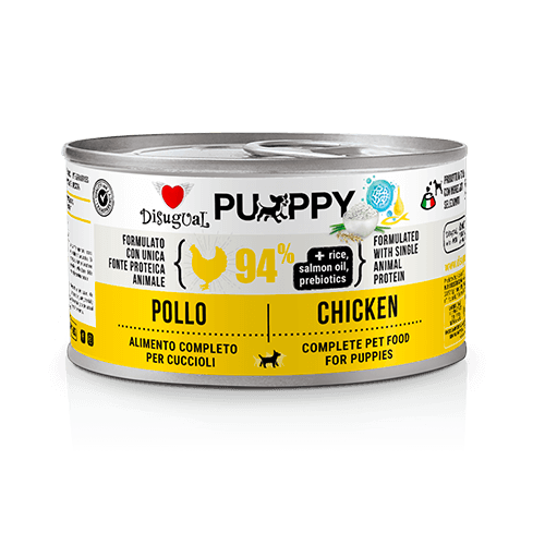 Disugual Pollo Puppy