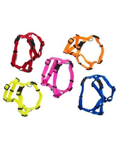 Farm Arnés De Nylon Romano