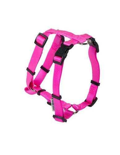 Farm Arnés De Nylon Romano