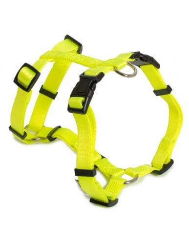 Farm Arnés De Nylon Romano