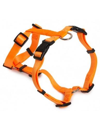 Farm Arnés De Nylon Romano