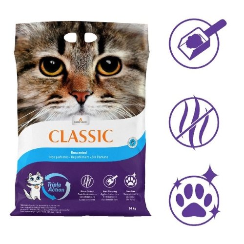 Intersand Arena Classic Sin Perfume