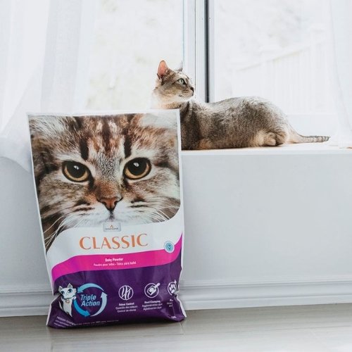 Intersand Arena Para Gatos Classic Aroma Talco