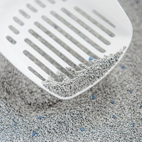 Intersand Arena Classic Sin Perfume