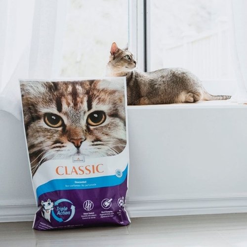 Intersand Arena Classic Sin Perfume