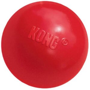 KONG Pelota Ball Resistente Alta Masticación