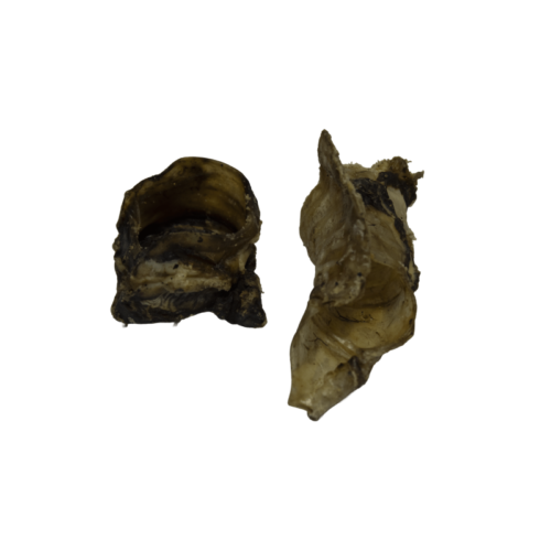 dos trozos de cornetto natural para perro