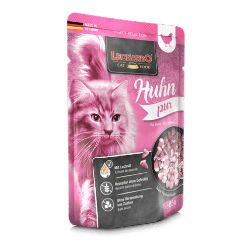 Leonardo Puro En Pollo Gato