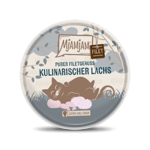 MjAMjAM Puro Placer De Filete Salmón Culinario