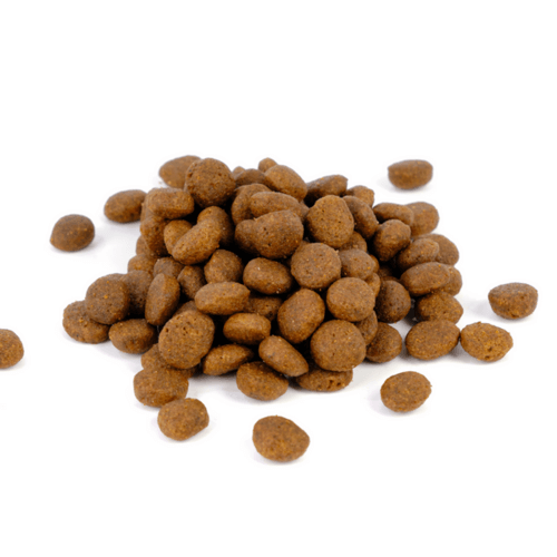 Natura Diet Puppy Junior Large