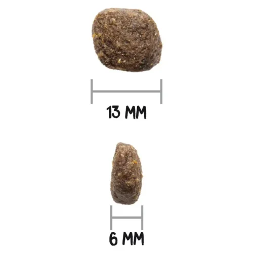 Ownat Care Digestive