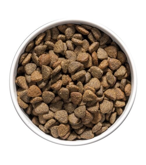 ow-care-mobility-platoadl.jpg Ownat Care Mobility