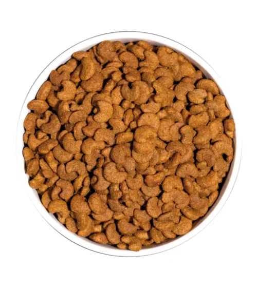 Ownat Classic Hairball