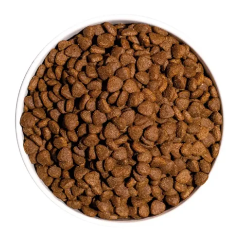 Ownat Classic Kitten