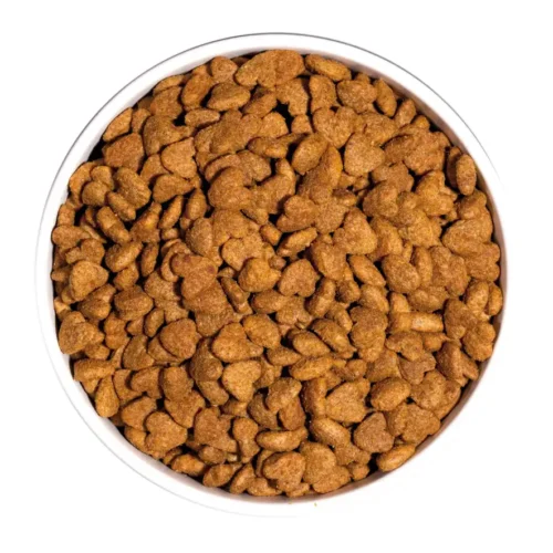 ow-classic-light-cat-platoadl.webp Ownat Classic Light