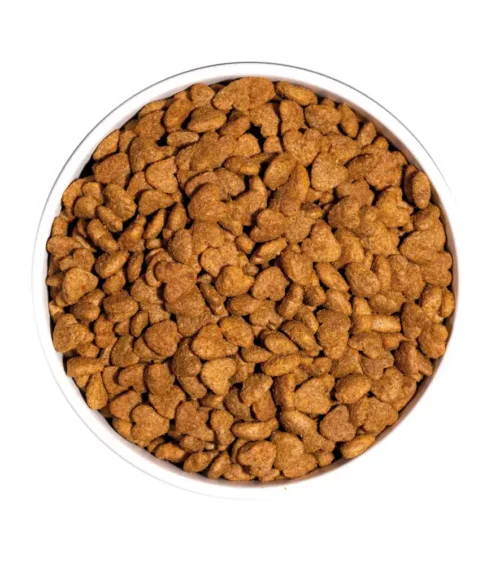 ow-classic-light-cat-platoadl.webp Ownat Classic Light