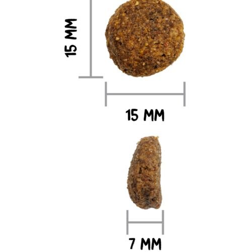Ownat Classic Monoproteico Salmón