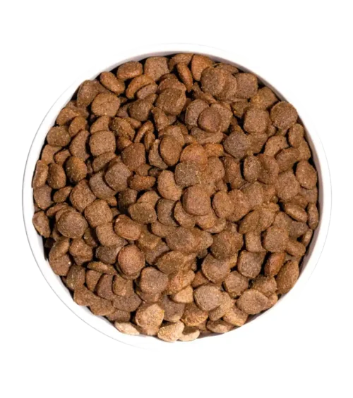 ow-just-grain-free-duck-platoadl.webp Ownat Just Grain Free Pato Adulto