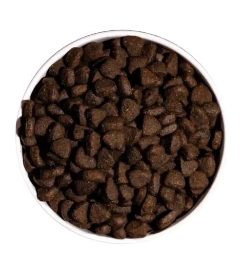 Ownat Just Grain Free Trucha Adulto