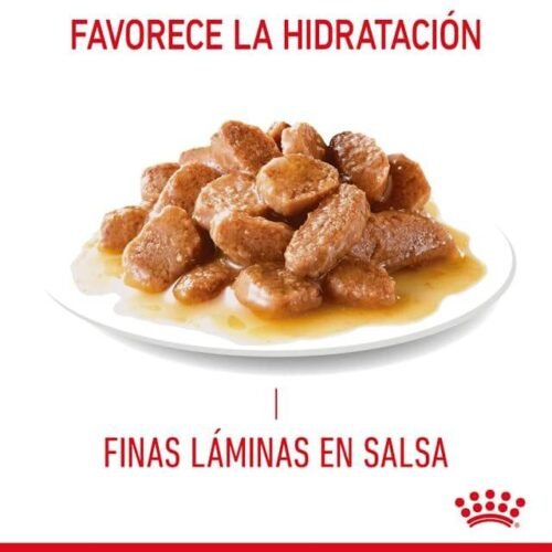 Royal Canin Digestive Care Finas Láminas En Salsa