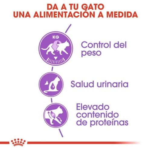 Royal Canin Sterilised 37 Con Pollo Y Arroz