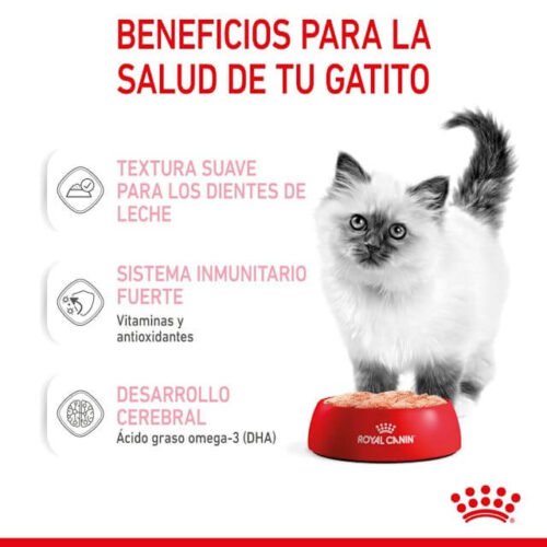 royal-canin-pate-gato-gatito-beneficios-salud40.67file.jpeg Royal Canin Kitten Comida Húmeda En Paté