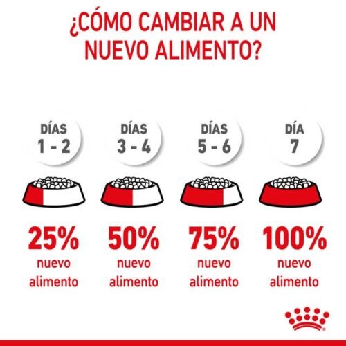Royal Canin Puppy Medium Alimento Seco