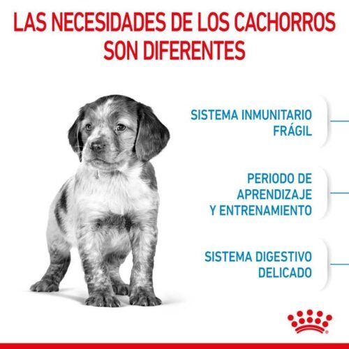 Royal Canin Puppy Medium Alimento Seco