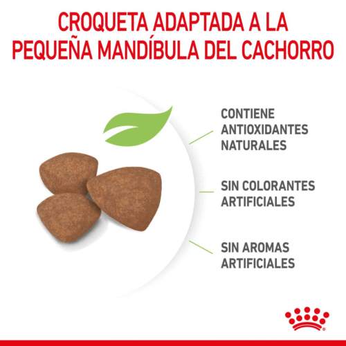 Royal Canin Puppy Mini Alimento Seco