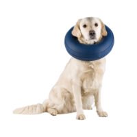 trixie-collar-protector-inflable-perro-senior-collar-protector-inflable546078file.jpeg Trixie Collar Protector Inflable Para Perros